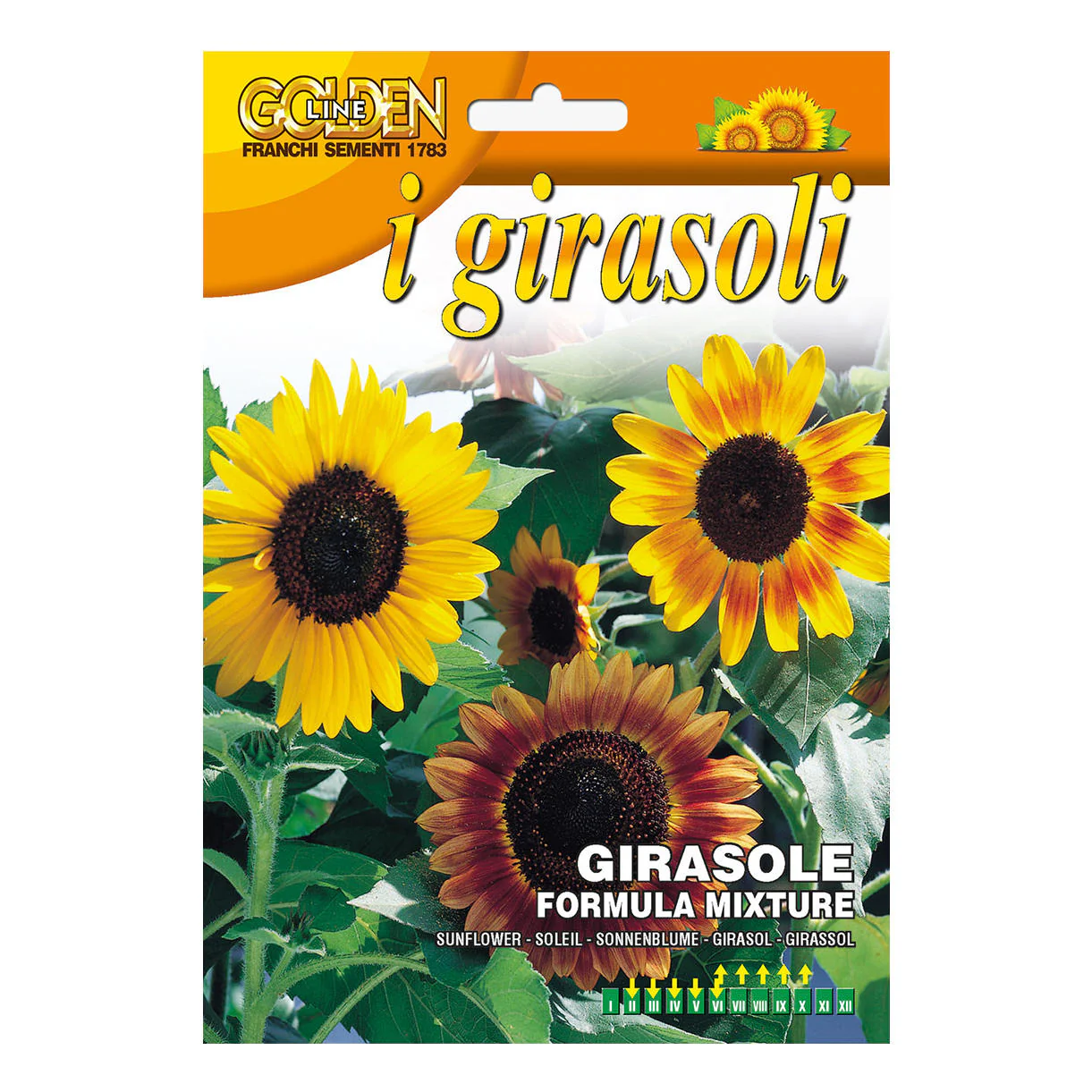 Mixed Sunflower Seeds - Image 2