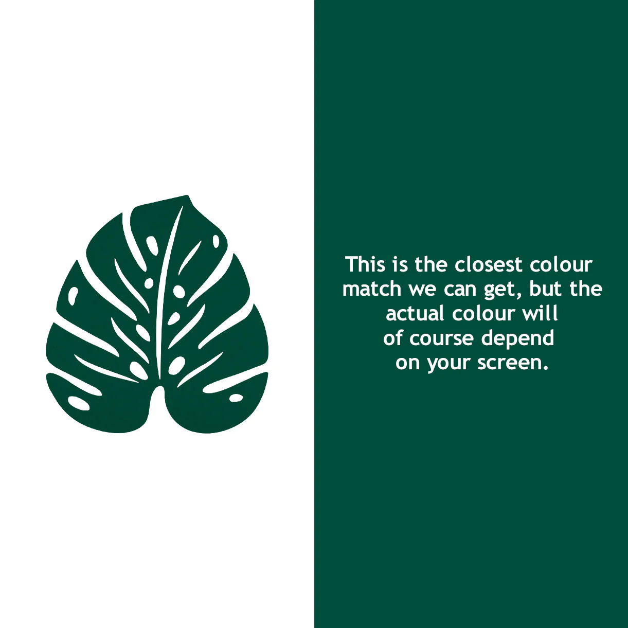 Monstera Leaf Trivet - Image 5