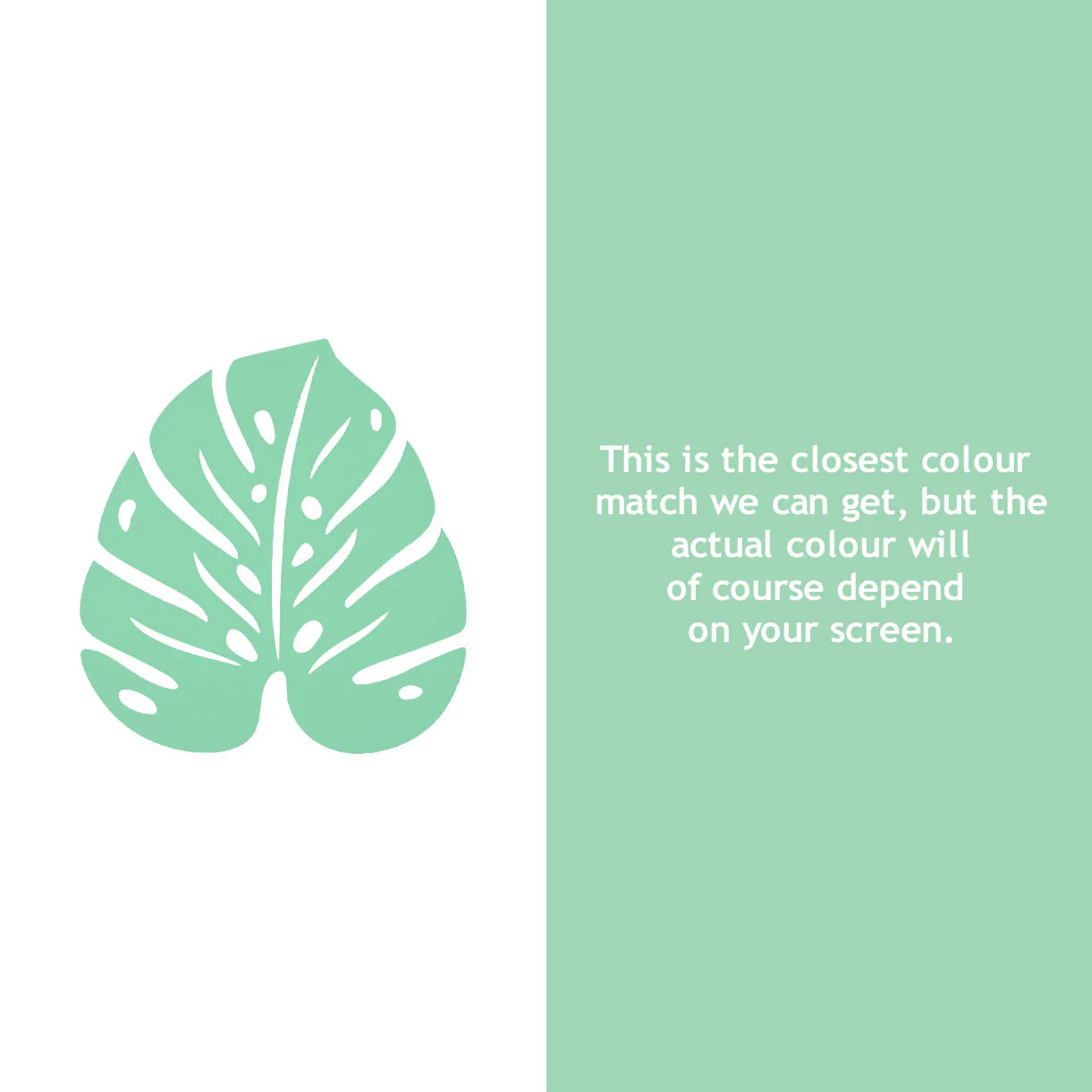 Monstera Leaf Trivet - Image 8