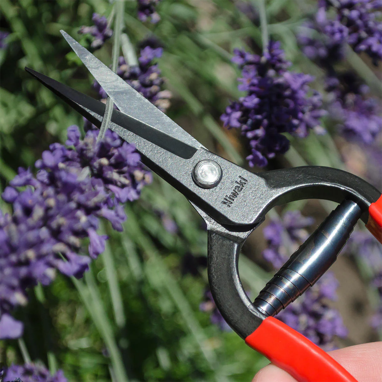 Japanese Forged Snips - Image 3