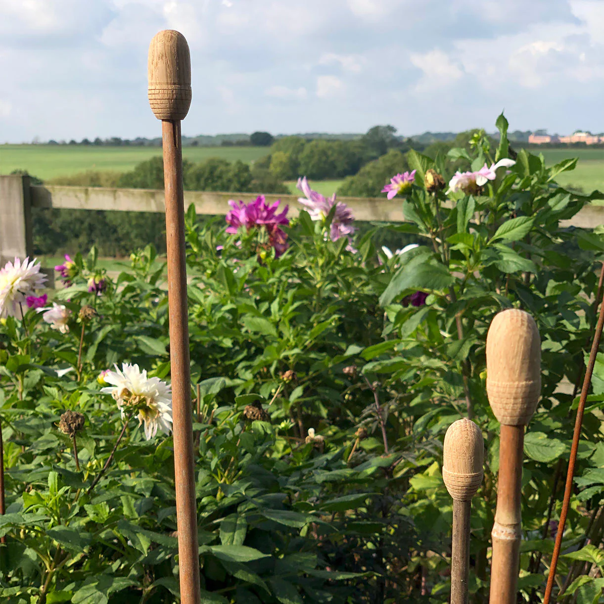 Oak Cane Caps