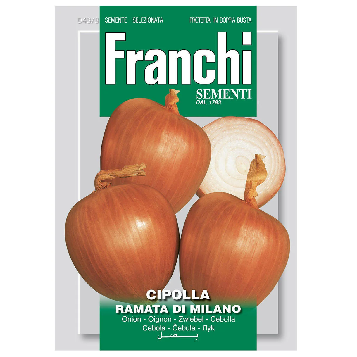Onion Ramata of Milano Seeds - Image 2
