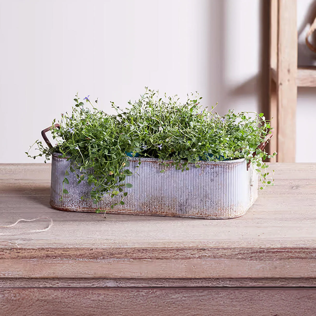 Outdoor Planter Tray with Aged Zinc finish - Image 3