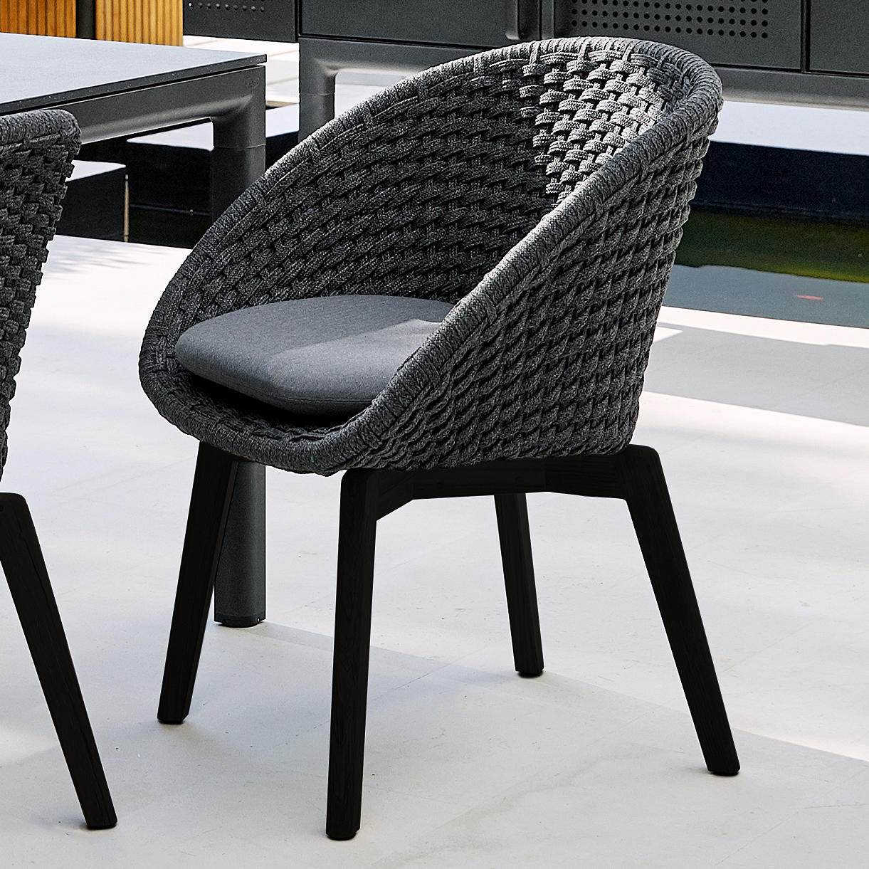 Peacock Dining Chair with Black Aluminum Legs - Image 2