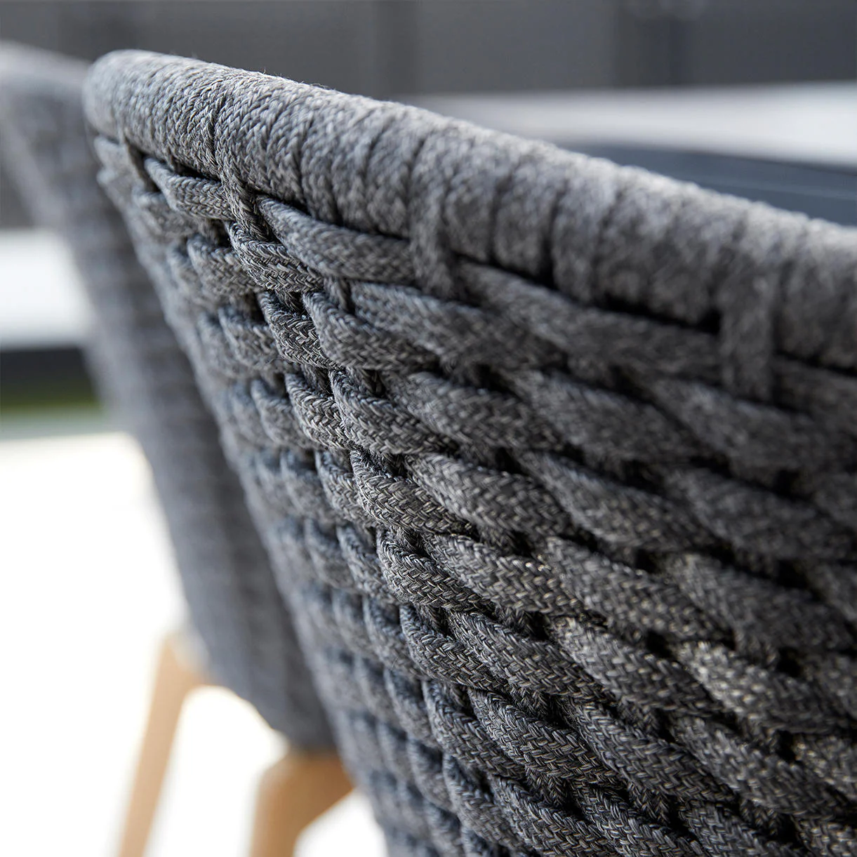 Peacock Dining Chair with Black Aluminum Legs - Image 4