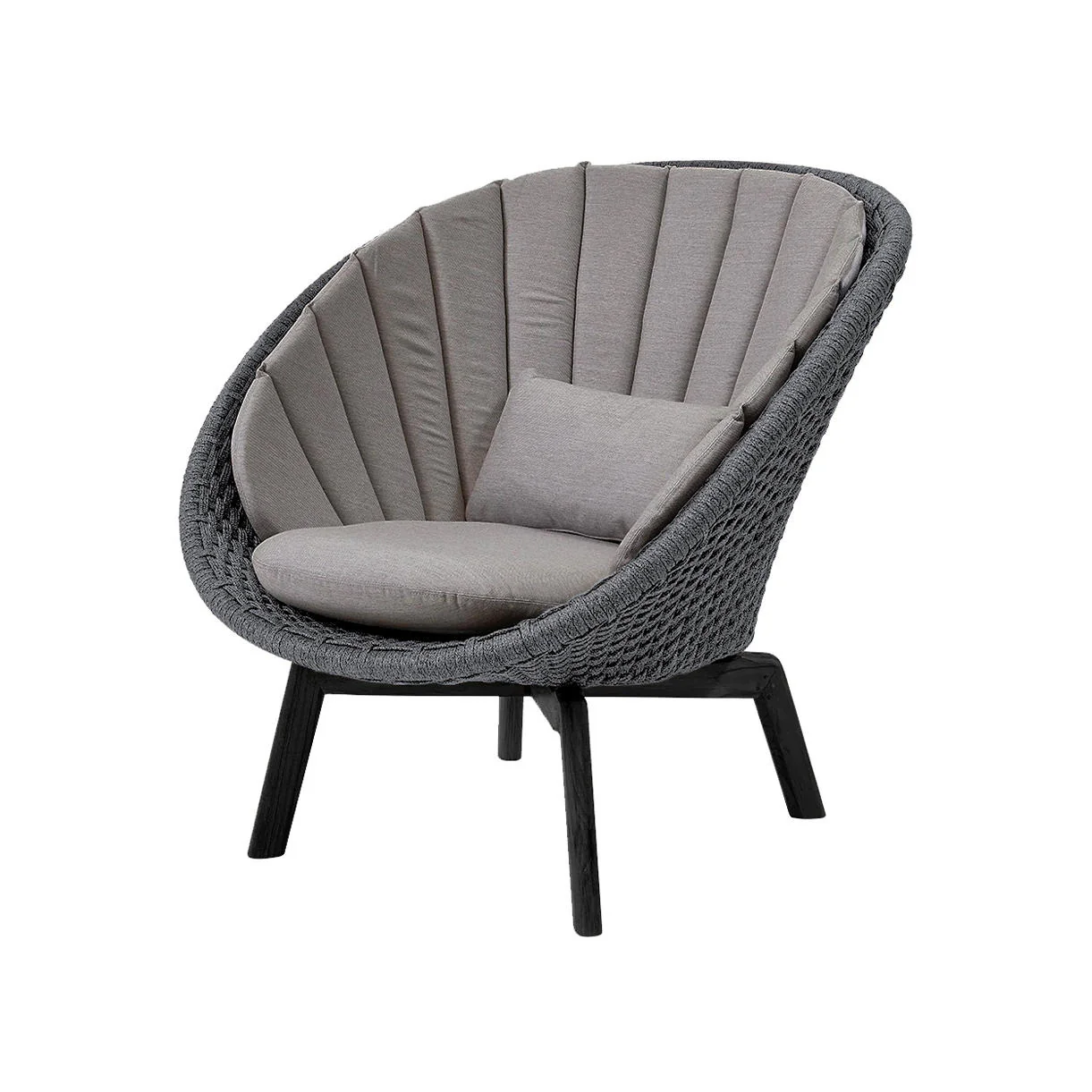 Peacock Lounge Chair with Black Aluminum Legs - Image 10
