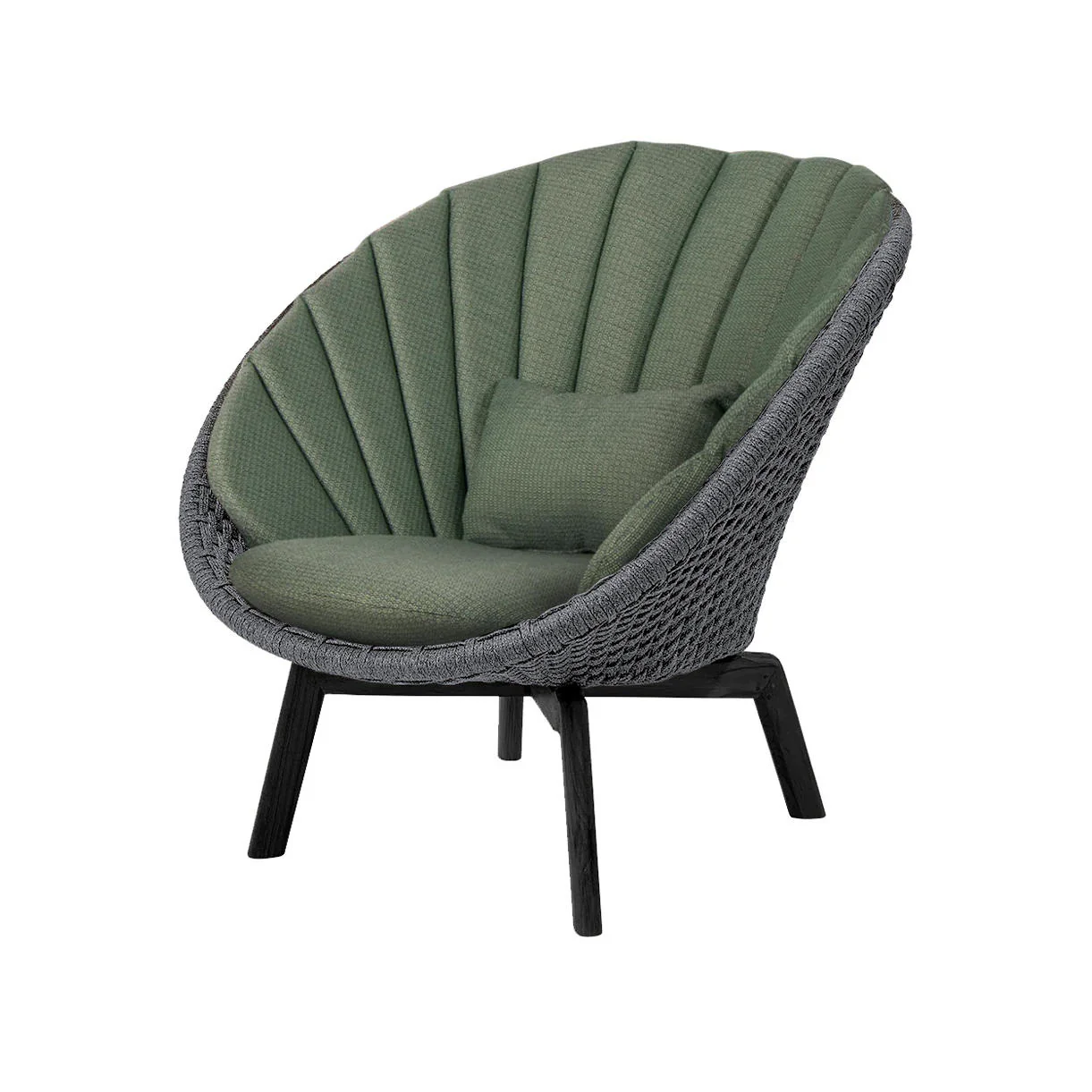 Peacock Lounge Chair with Black Aluminum Legs - Image 5