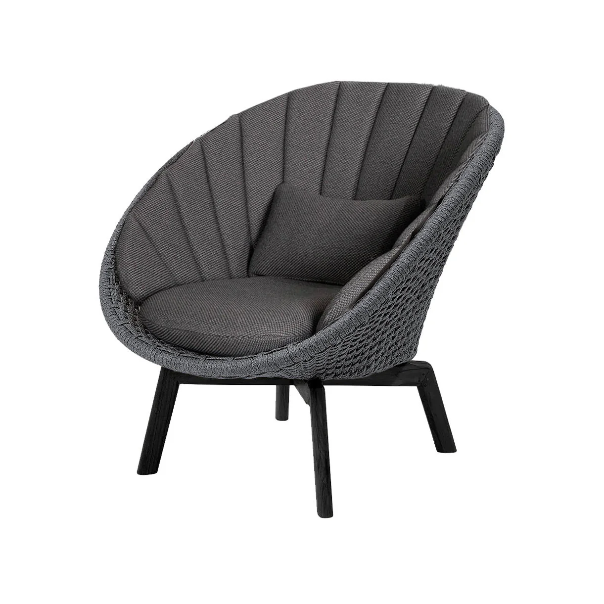 Peacock Lounge Chair with Black Aluminum Legs - Image 6