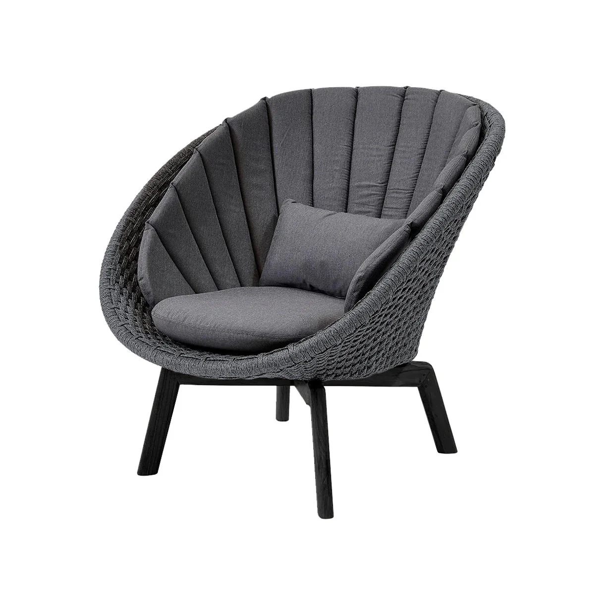 Peacock Lounge Chair with Black Aluminum Legs - Image 8