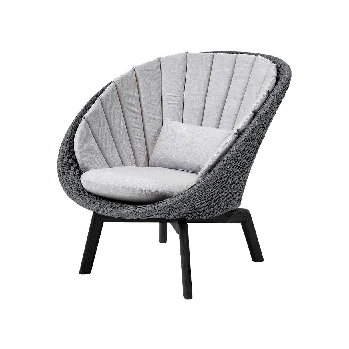 Peacock Lounge Chair with Black Aluminum Legs - Image 9