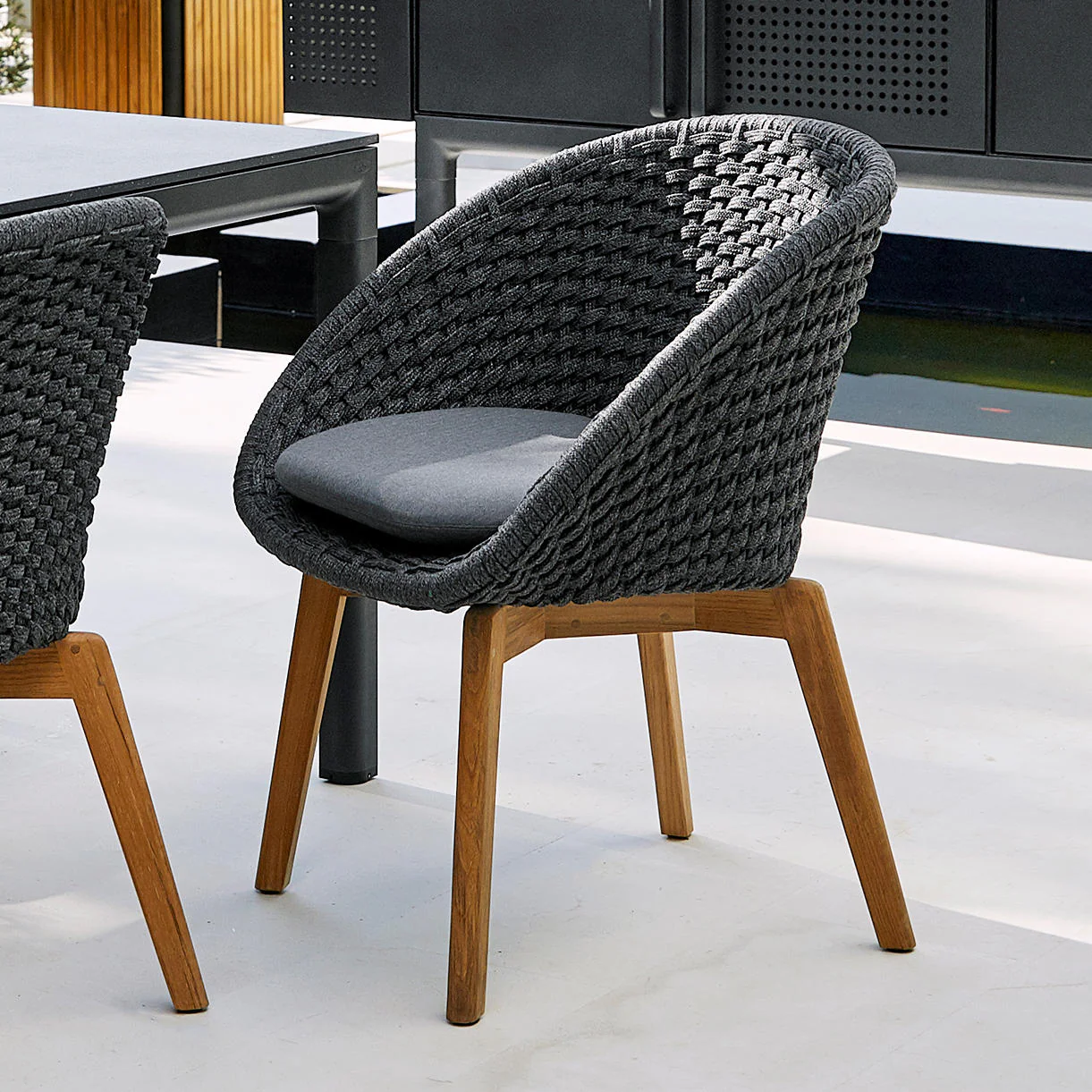 Peacock Rope Dining Chair
