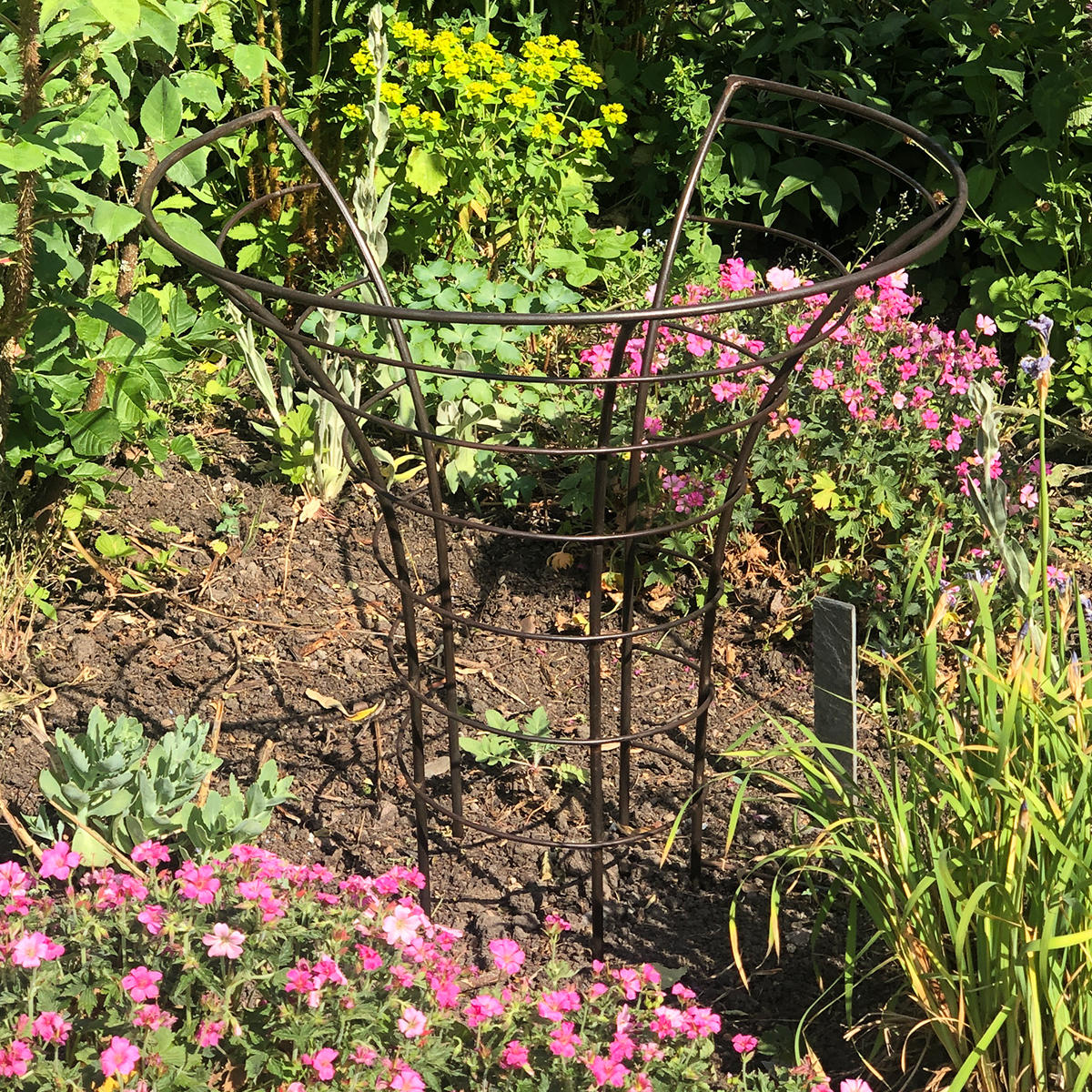 Peony Metal Plant Frame