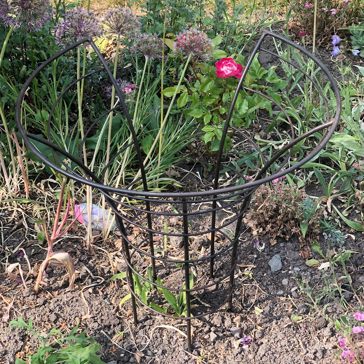 Peony Metal Plant Frame - Image 3