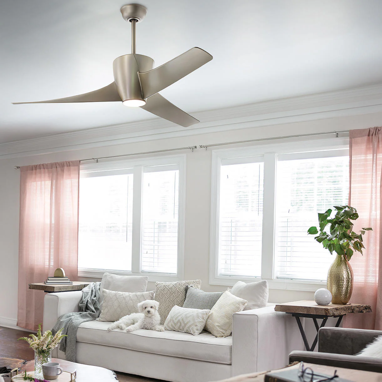 Phree Indoor Ceiling Fans - Image 2