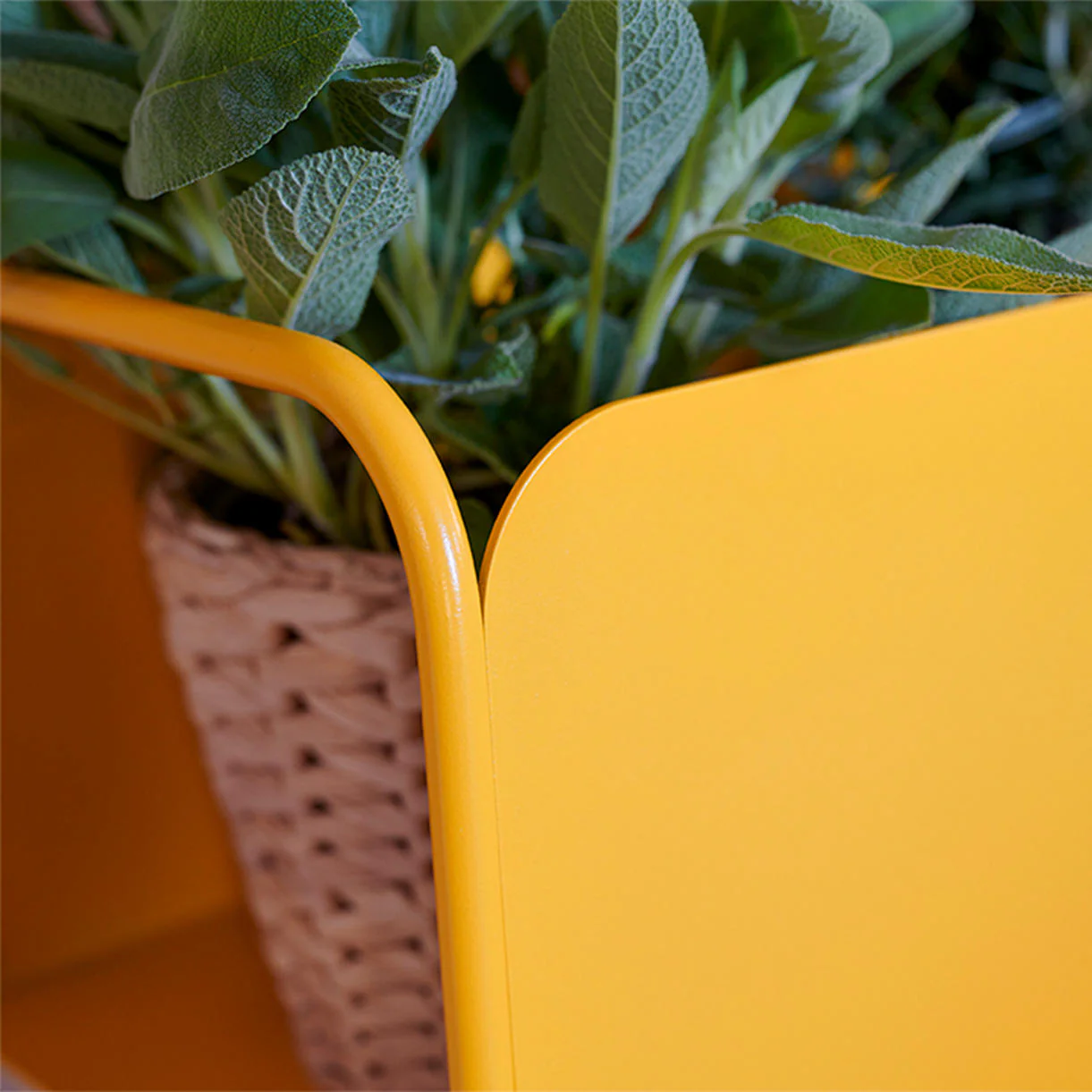 Picolino Plant Stand - Image 5