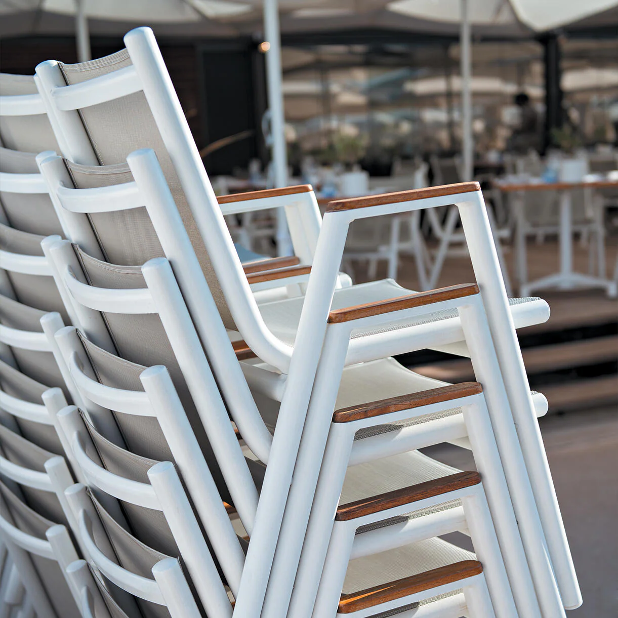 Pilotis Dining Armchair - Image 2