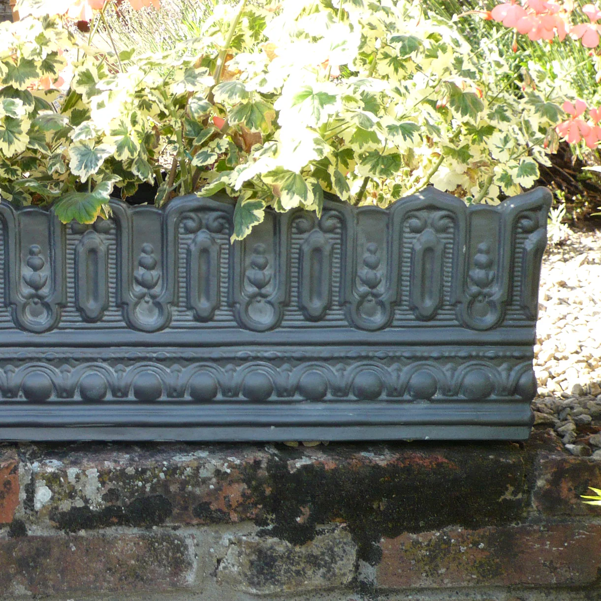 Pinot Noir Window Box - Image 2
