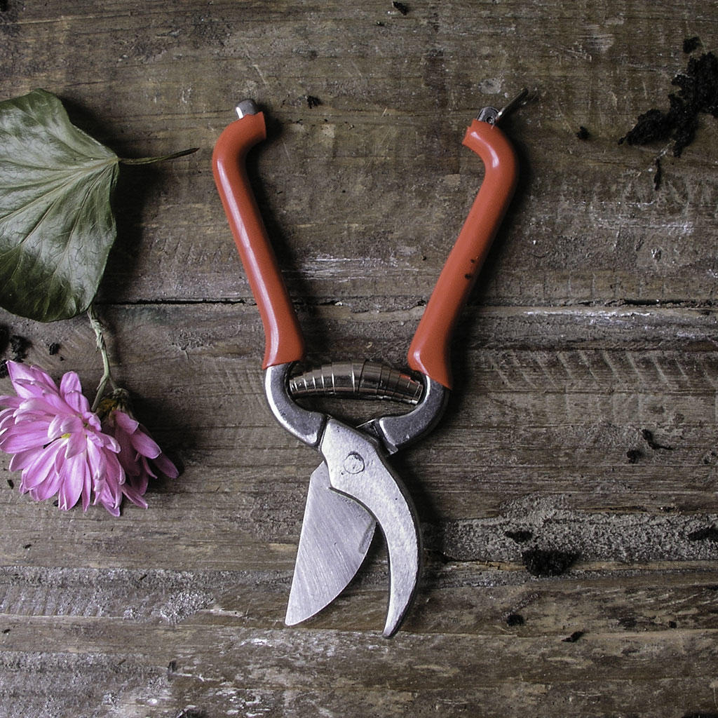 Pocket Pruner