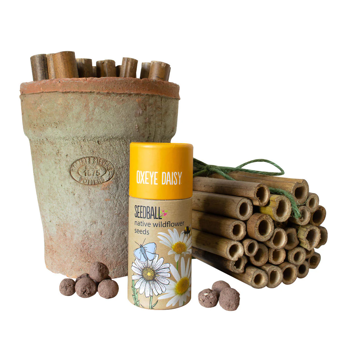 Pollinating Insect Gift Sets - Image 2