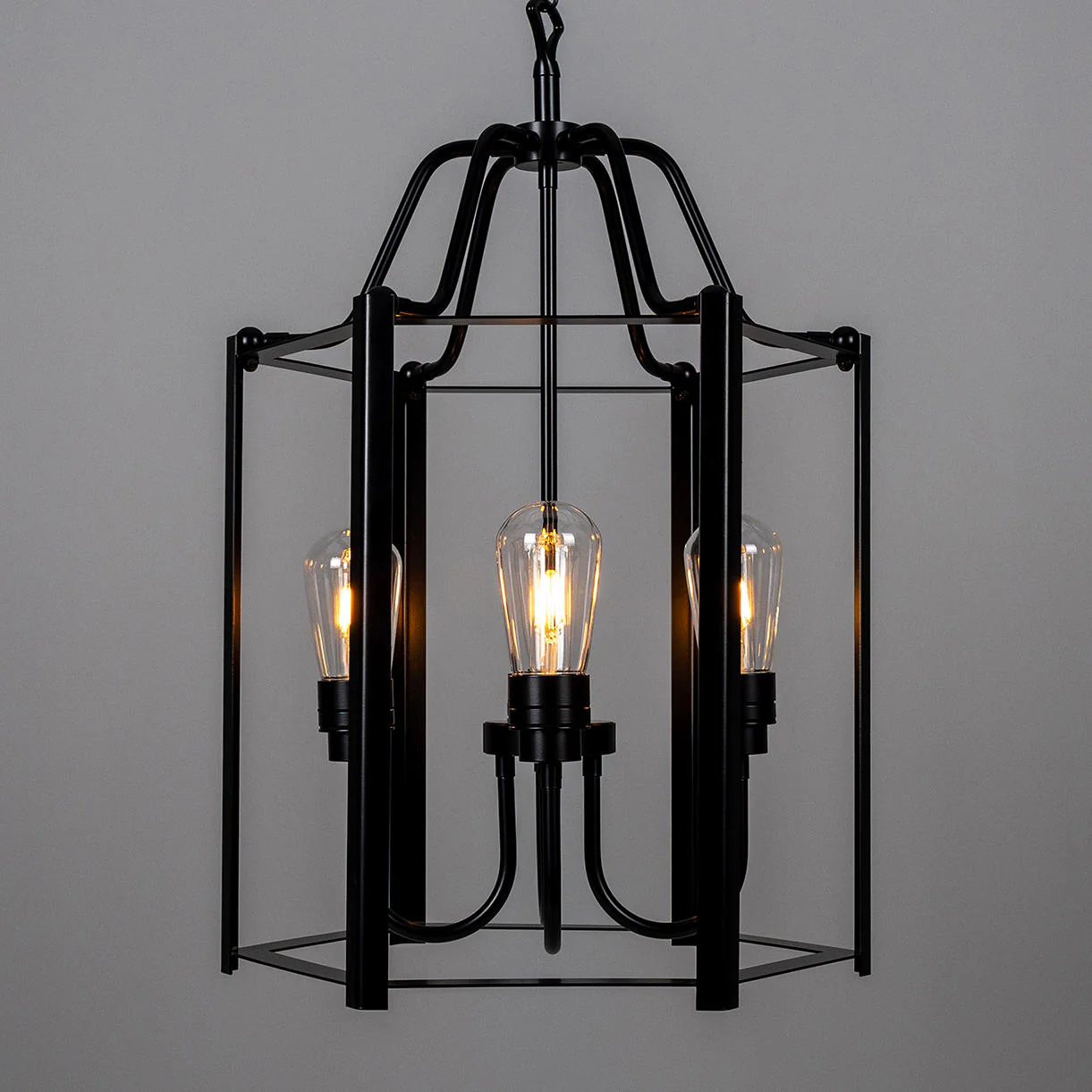 Portroe Outdoor Hanging Lantern - Image 5