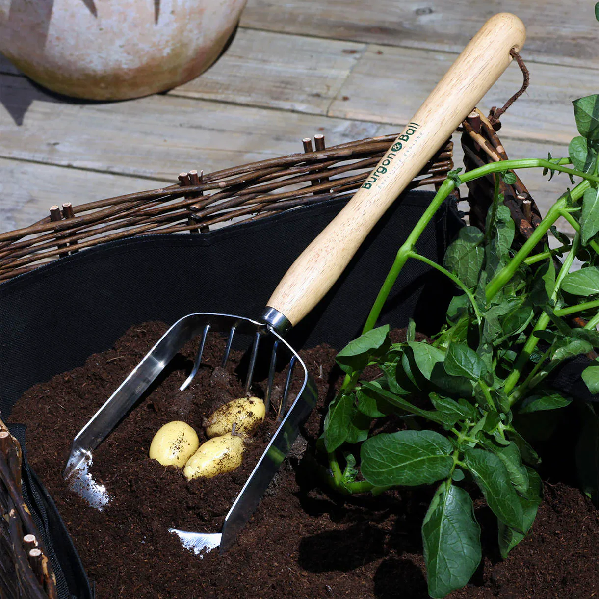 Potato Harvesting Scoop - Image 2
