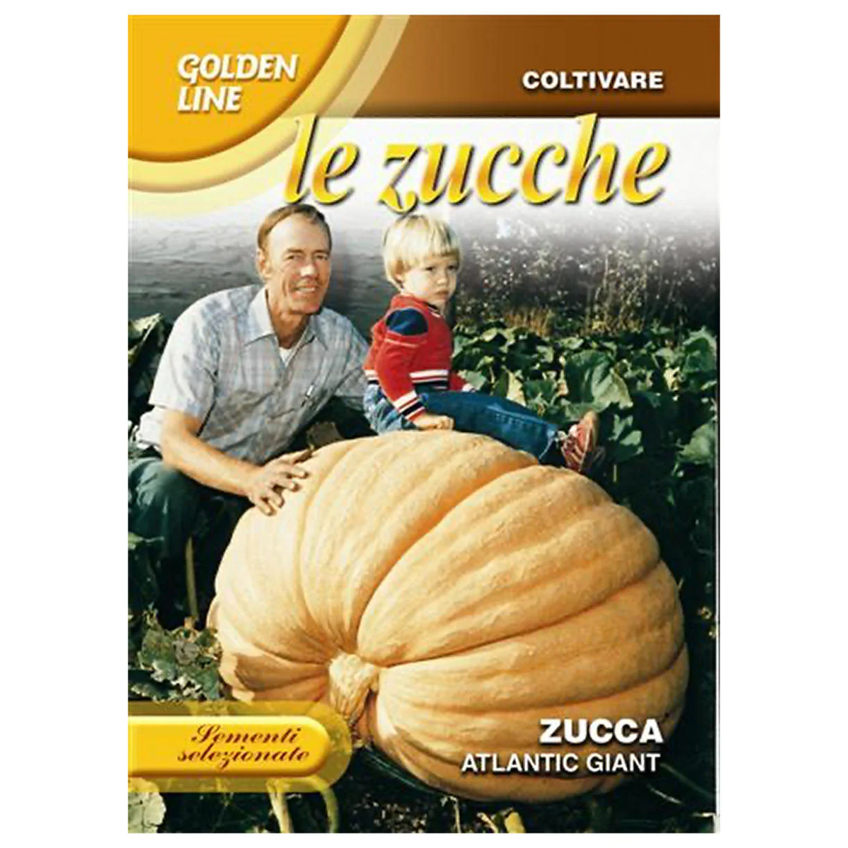 Pumpkin Giant Atlantic Seeds - Image 2