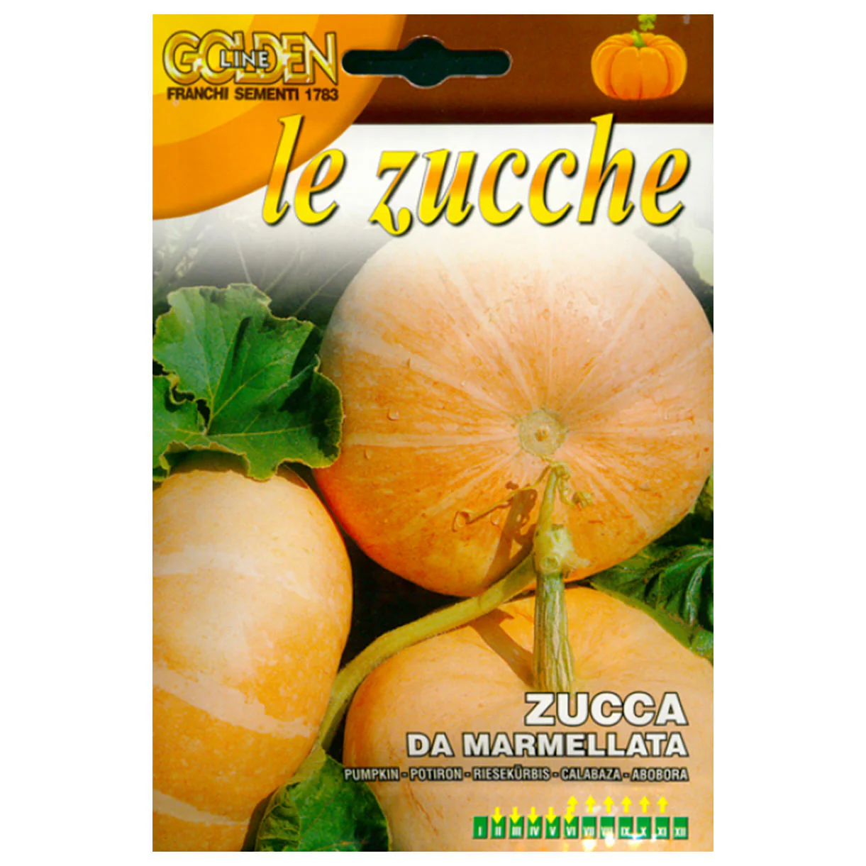 Pumpkin Zucca Da Marmellata Seeds - Image 2