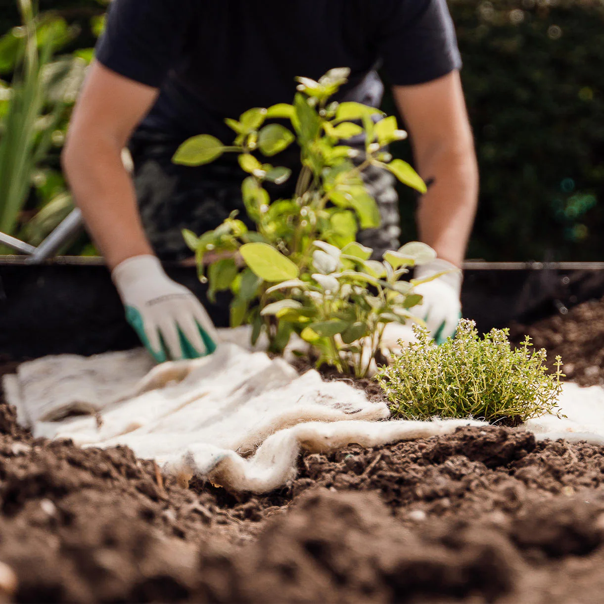 Pure Wool Horticultural Matting - Image 2
