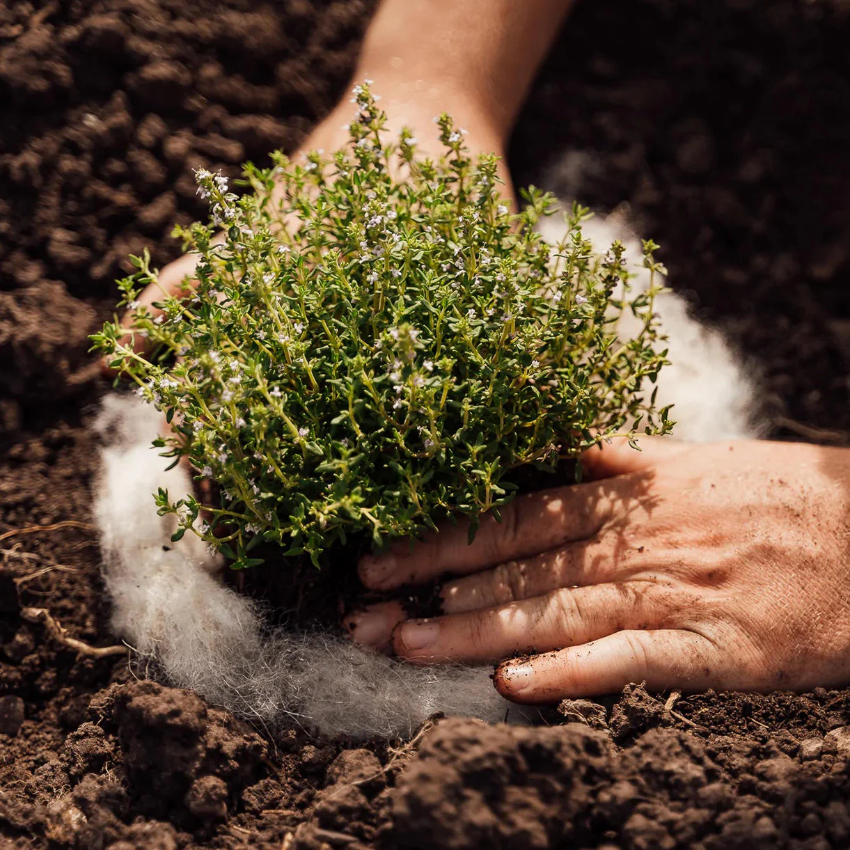 Pure Wool Horticultural Matting - Image 5