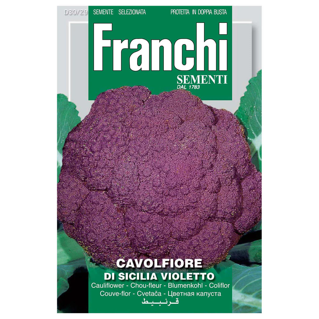 Purple Cauliflower - Image 2