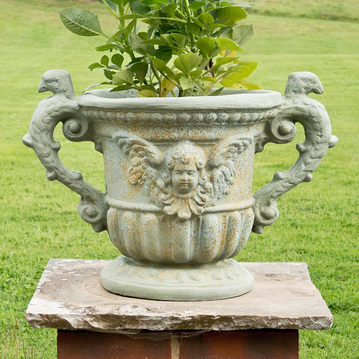 Queen Anne Urn Planter