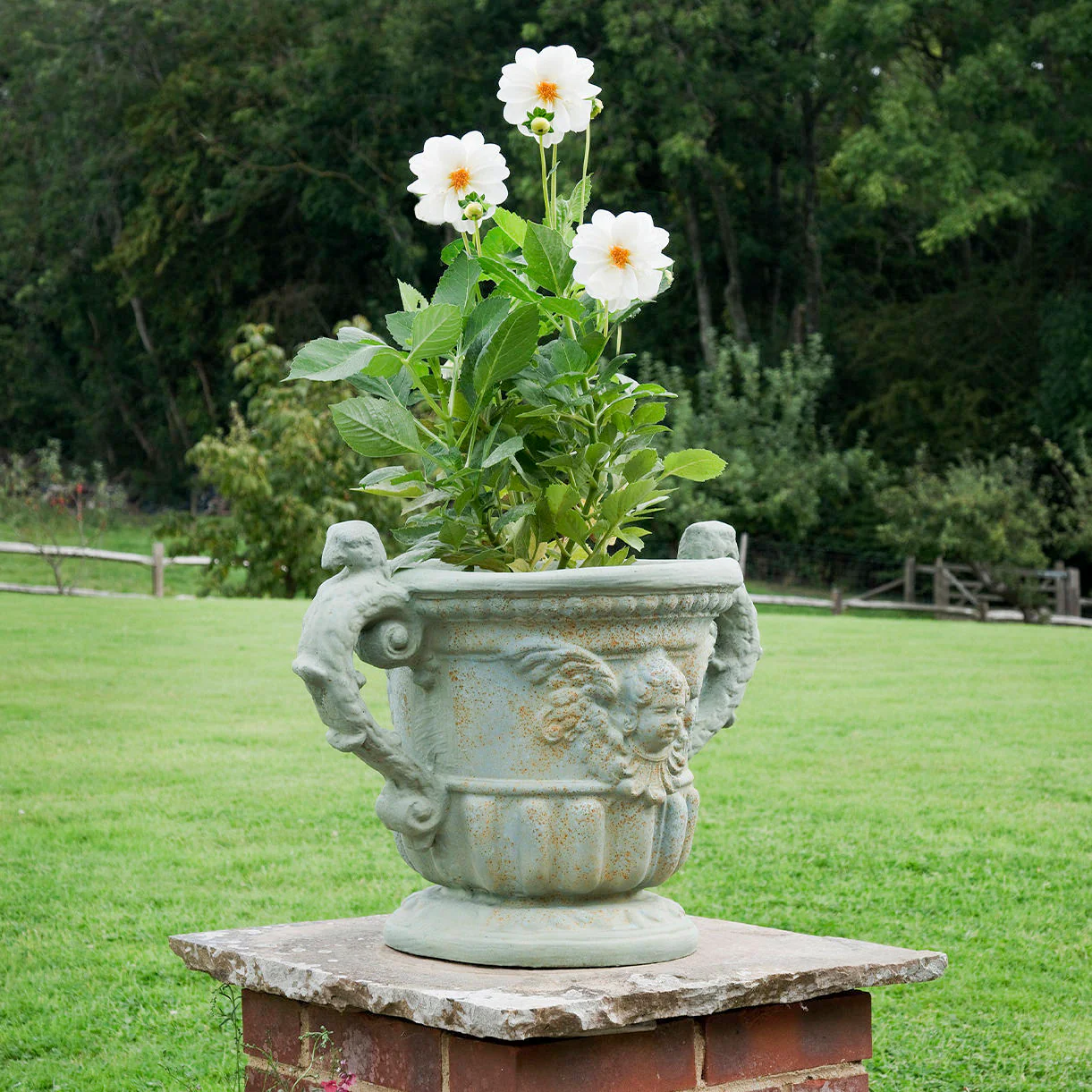 Queen Anne Urn Planter - Image 2