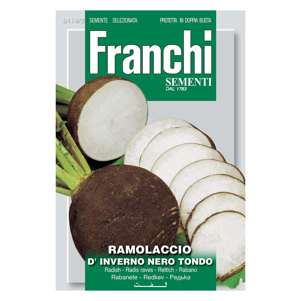 Black Radish Ramollaccio Seeds - Image 2