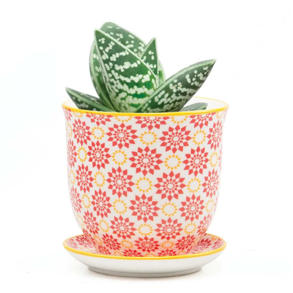 Retro Mini Planter with Saucer - Image 5