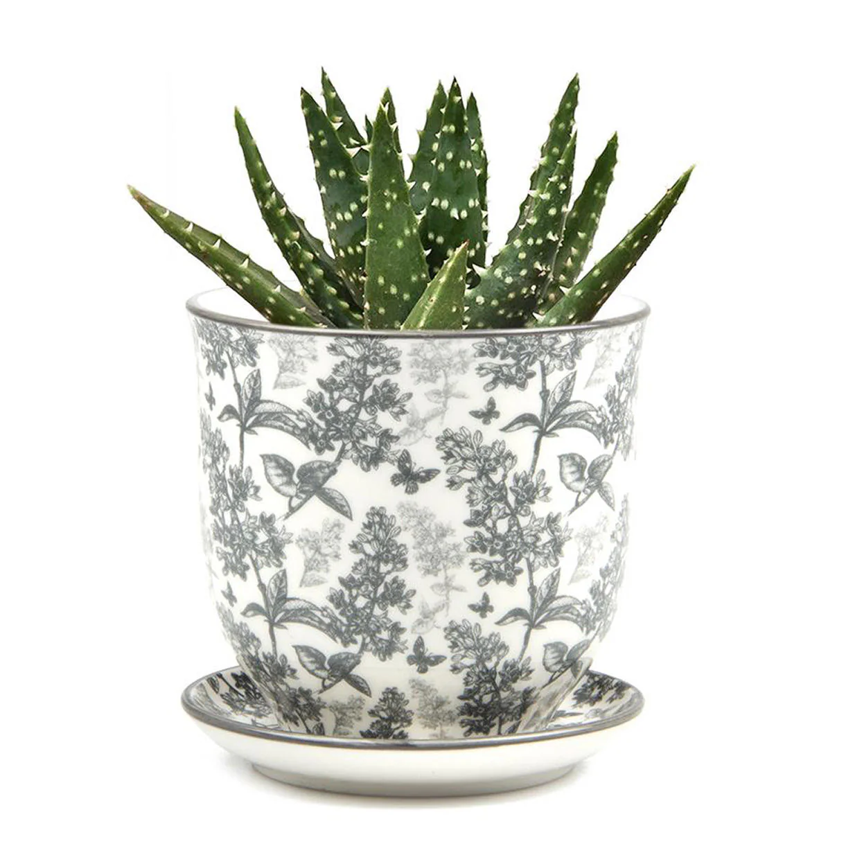 Retro Mini Planter with Saucer - Image 6