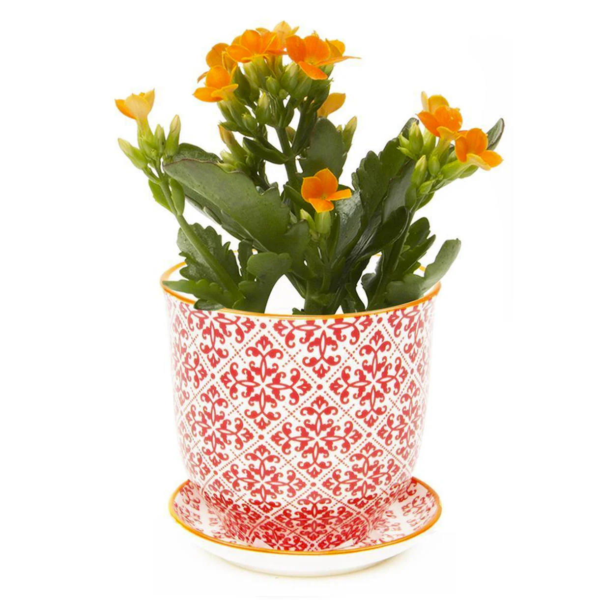 Retro Mini Planter with Saucer - Image 8