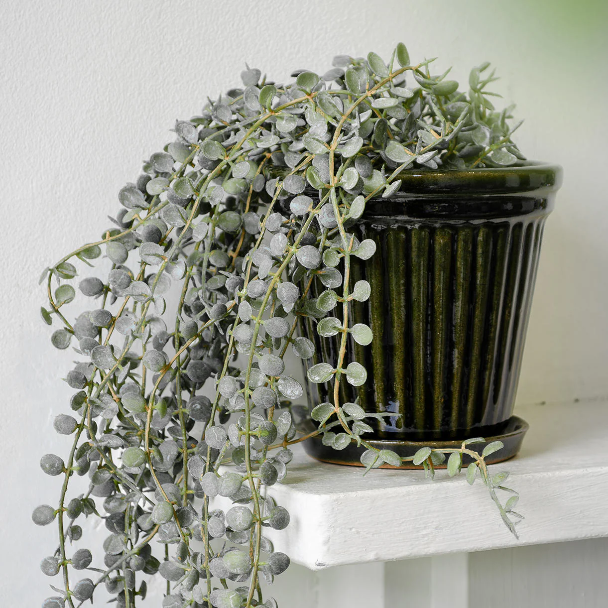 Ribbed Glazed Plant Pot