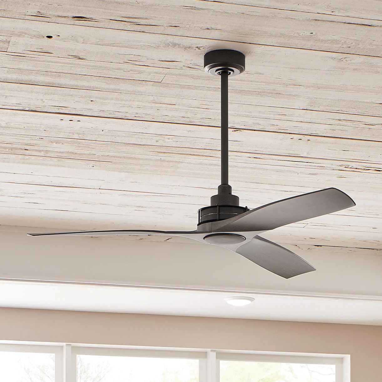 Ried Indoor Ceiling Fan