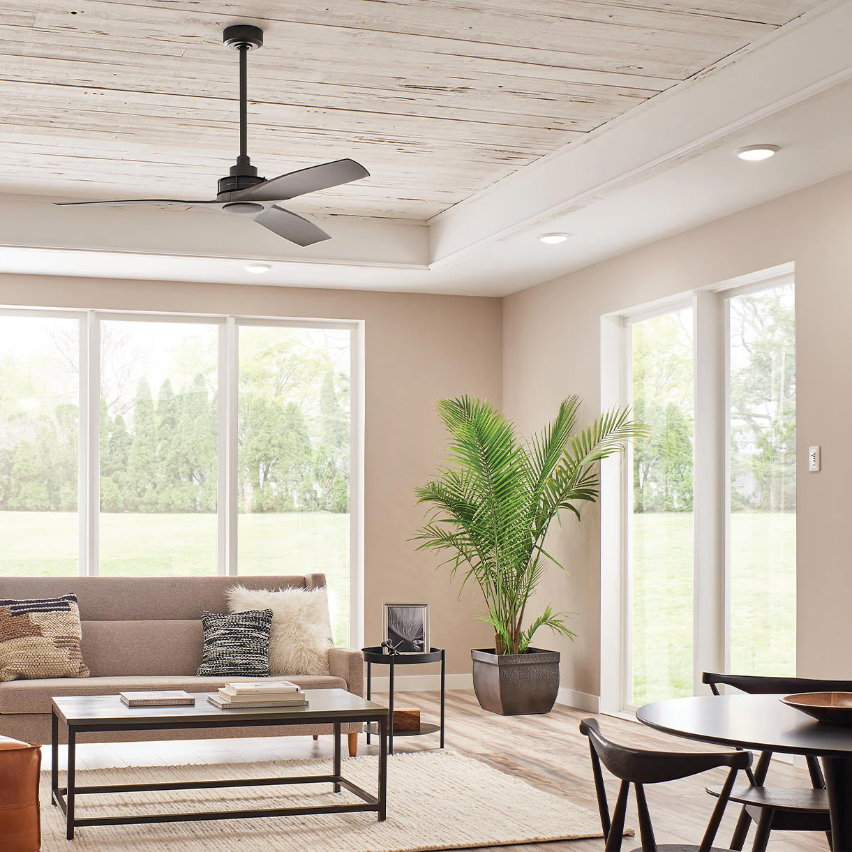 Ried Indoor Ceiling Fan - Image 3