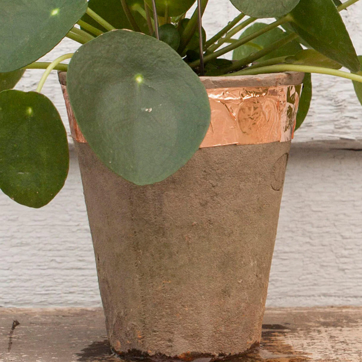 Roll of Copper Tape - Image 4