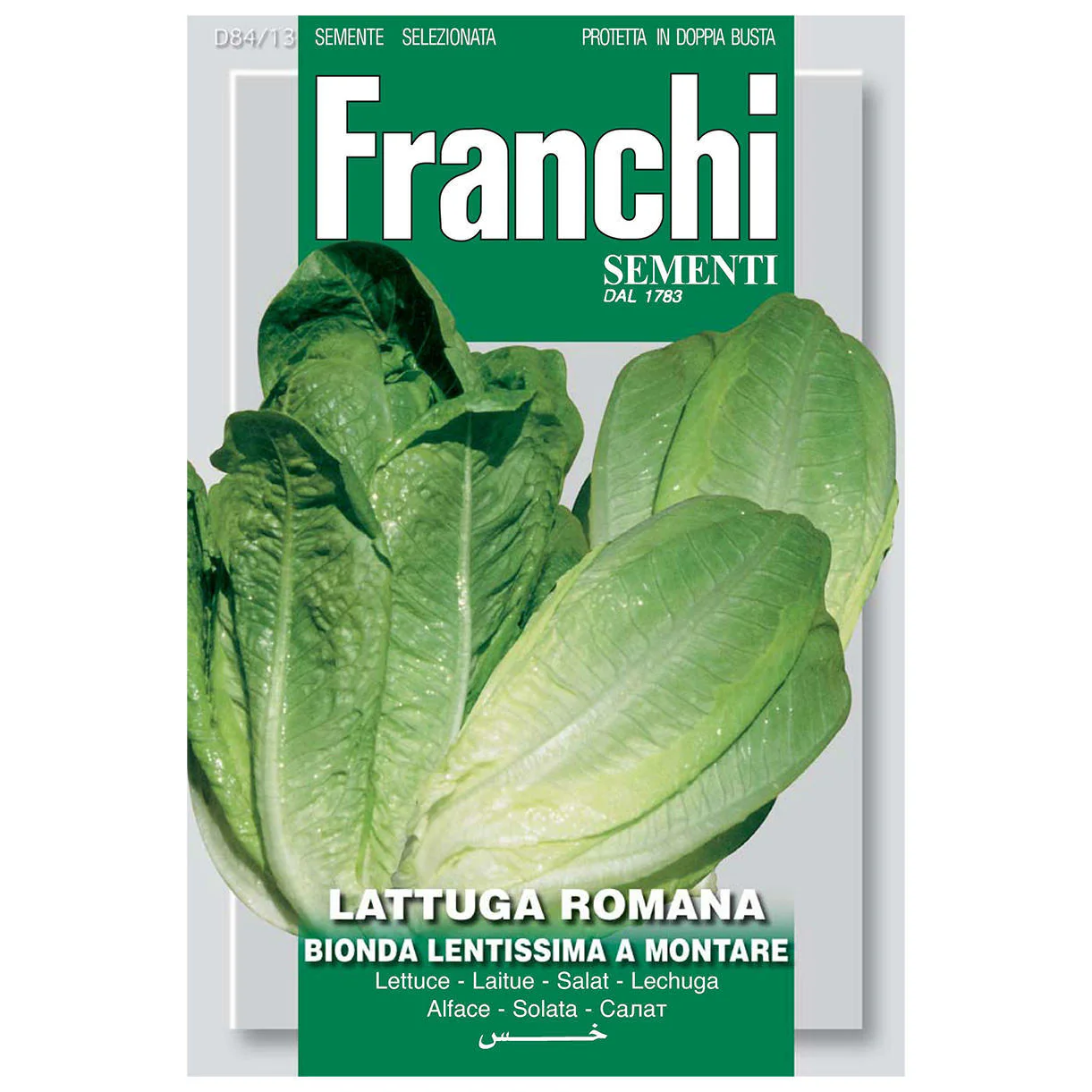 Romaine Lettuce Seeds - Image 2