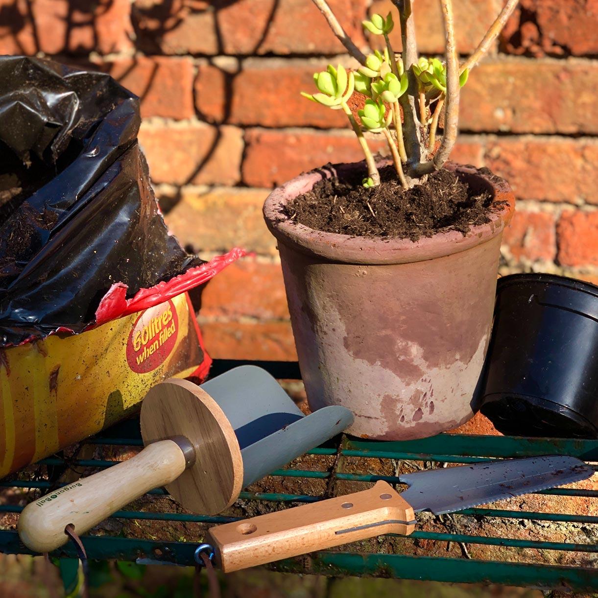 Root and Transplanting Tool - Image 4