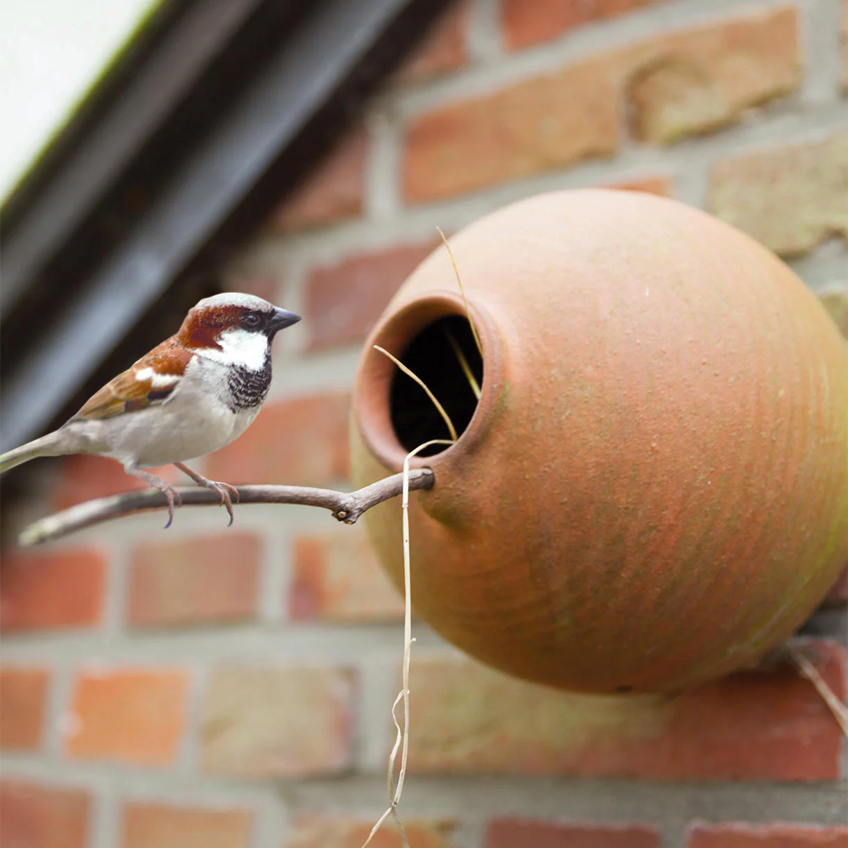 Round Small Bird Pot Nester