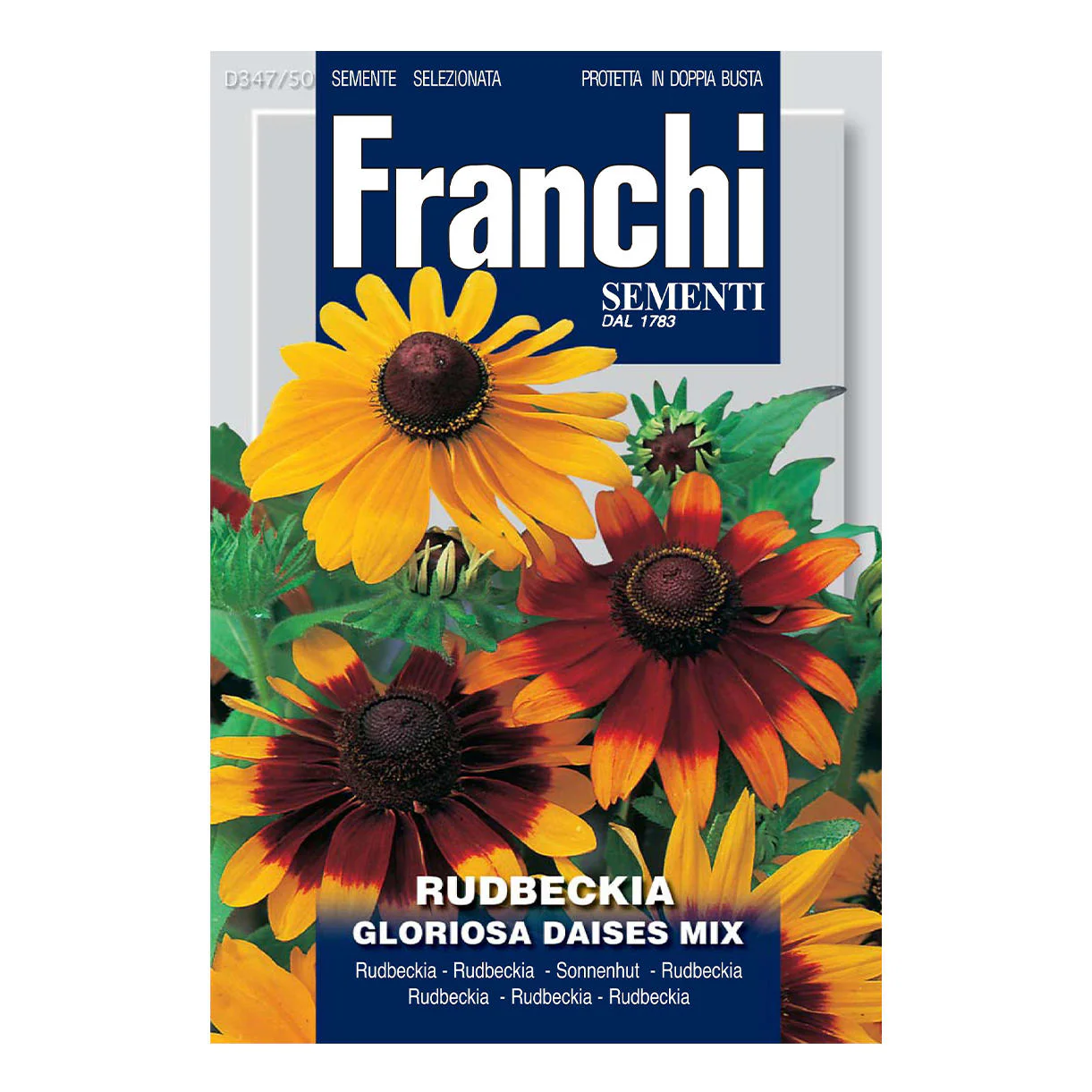 Rudbeckia Seeds - Image 2