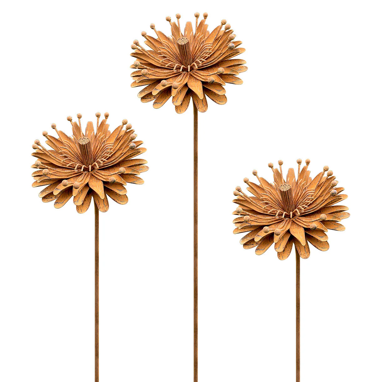 Rusted Aster Flower - Image 4