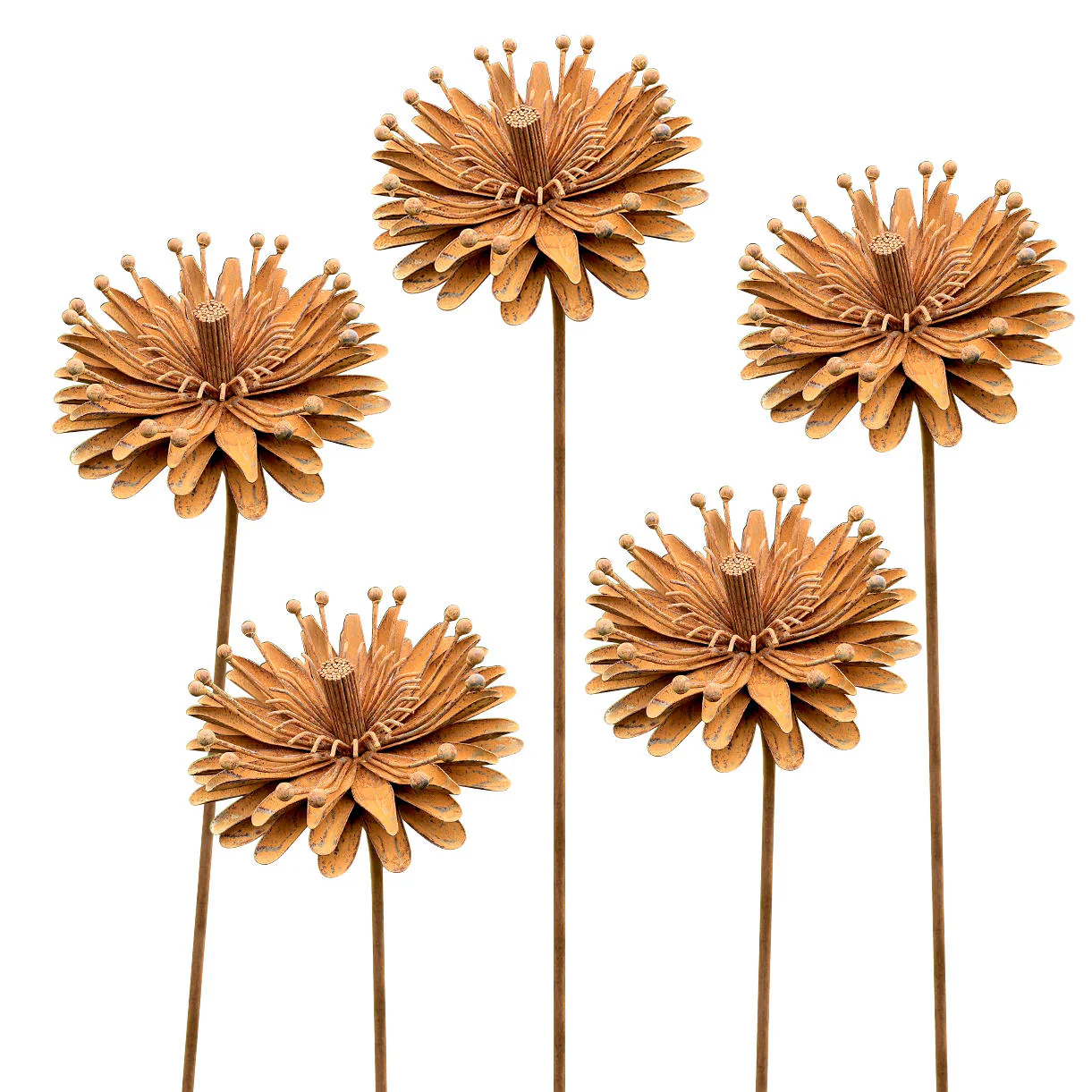 Rusted Aster Flower - Image 5