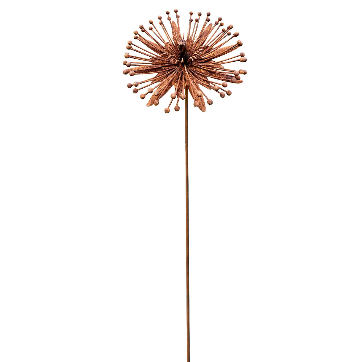 Rusted Clematis Flower - Image 3