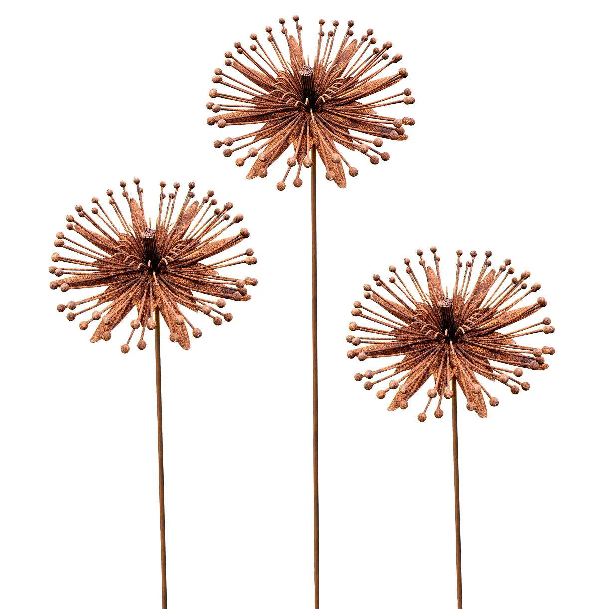 Rusted Clematis Flower - Image 4