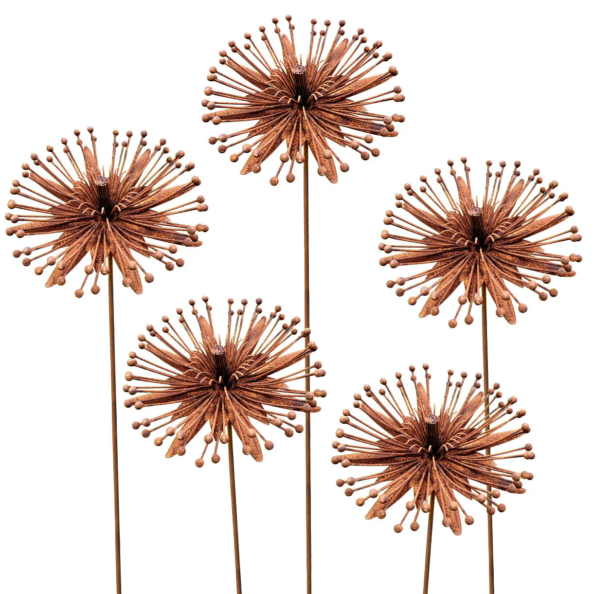 Rusted Clematis Flower - Image 5