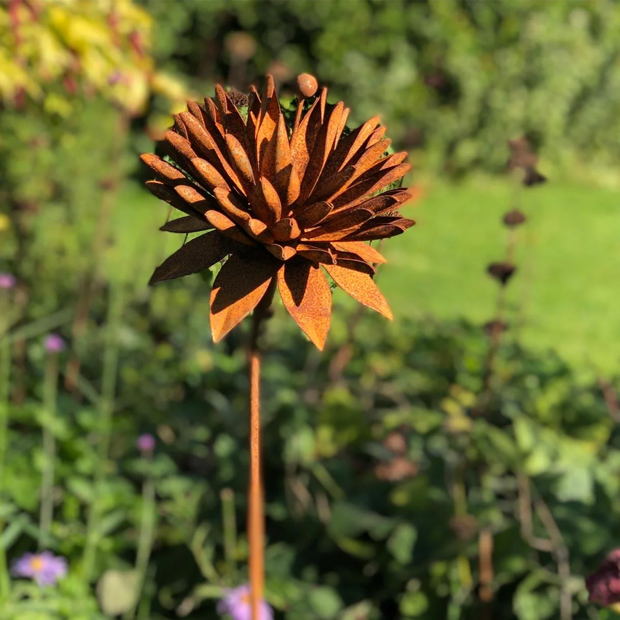 Rusted Cornflower